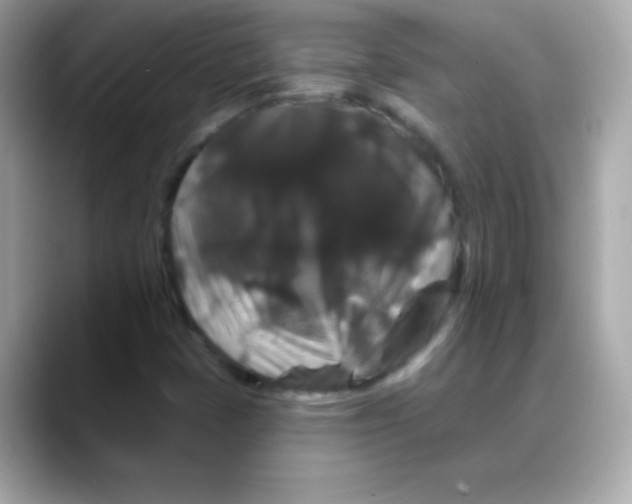 X0000088141401200706041959