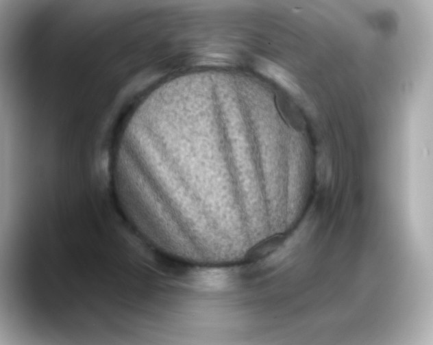 X0000088141402200706041959