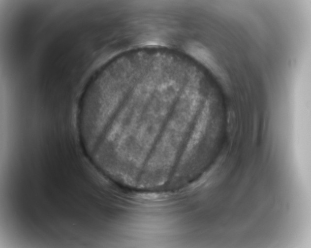 X0000088141404200706041959