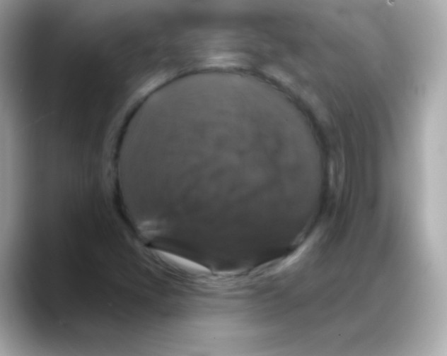 X0000088141405200706042000