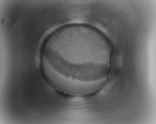 X0000088141406200706042000