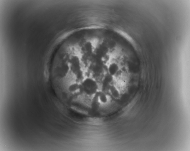 X0000088141407200706042000