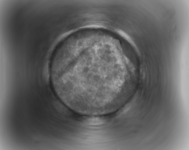 X0000088141408200706042000