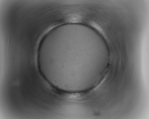 X0000088141410200706042000