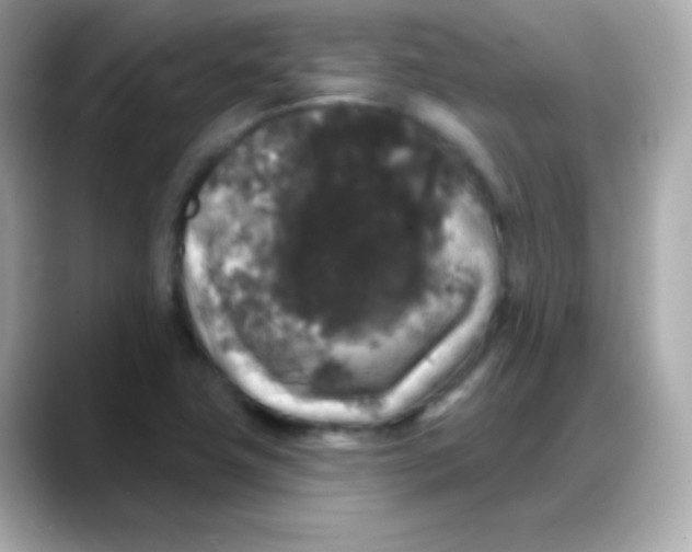 X0000088141411200706042000