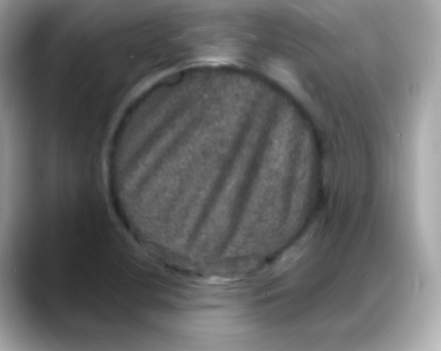 X0000088141412200706042000