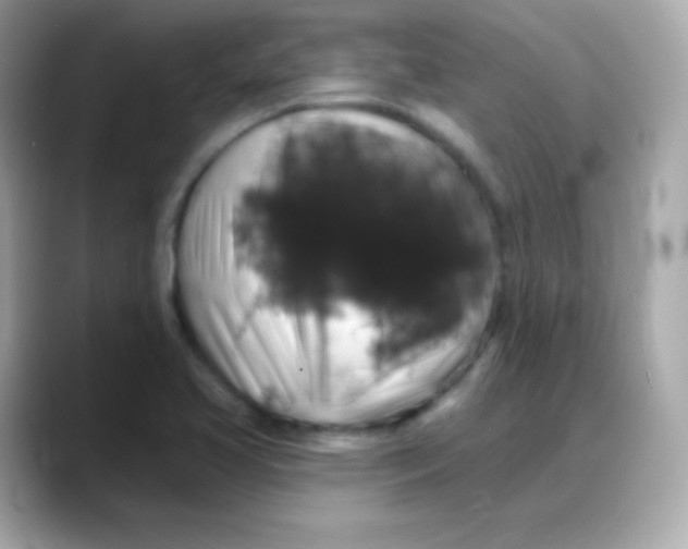 X0000088141413200706042000