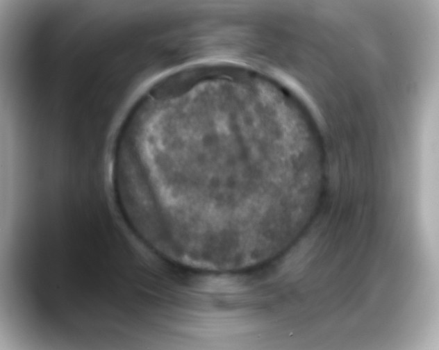 X0000088141416200706042000