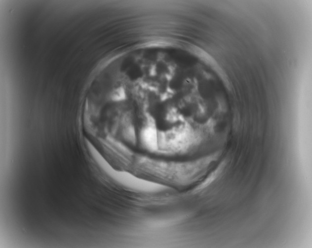 X0000088141417200706042000