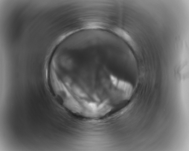 X0000088141419200706042000