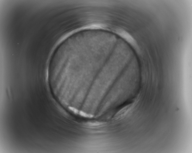 X0000088141420200706042000