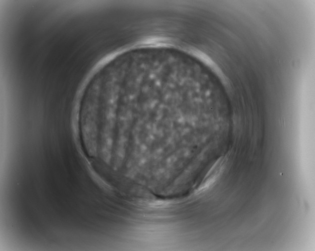 X0000088141421200706042000