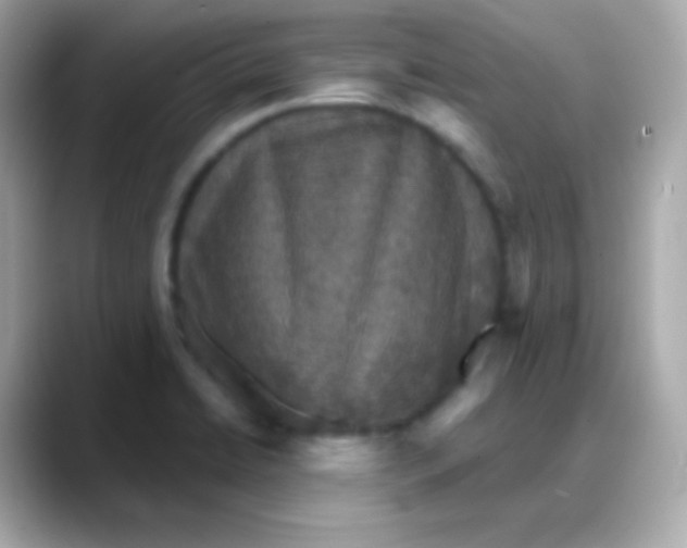 X0000088141422200706042000