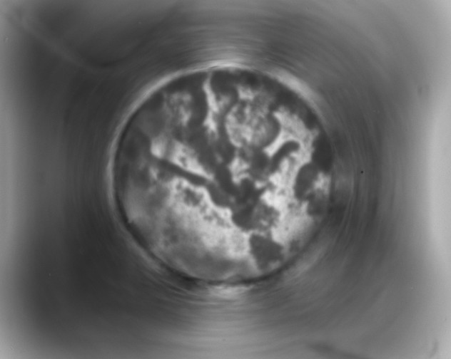 X0000088141423200706042000