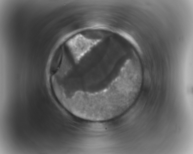 X0000088141424200706042000