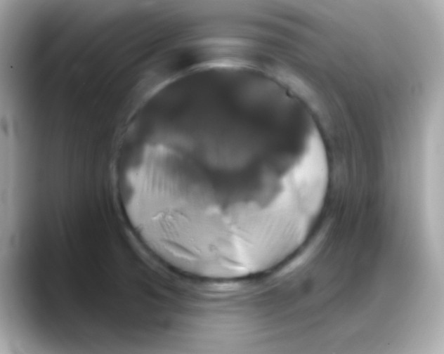 X0000088141425200706042000