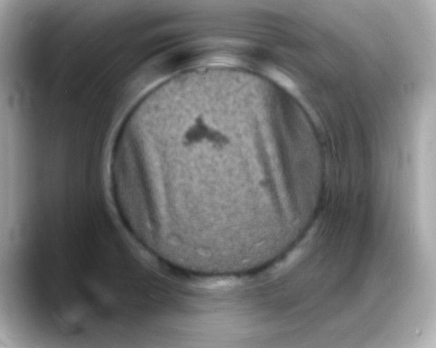 X0000088141426200706042000