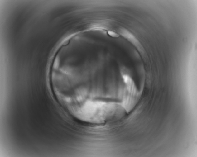 X0000088141427200706042000