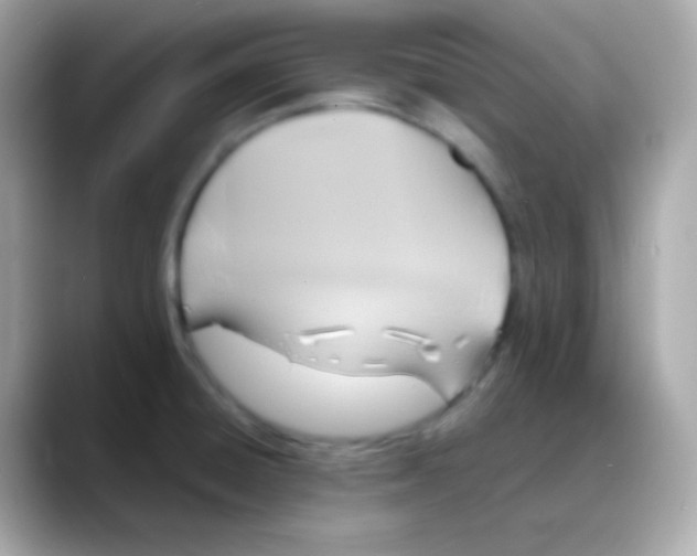 X0000088141428200706042000