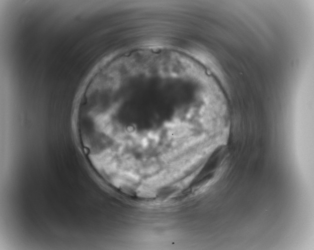 X0000088141429200706042000