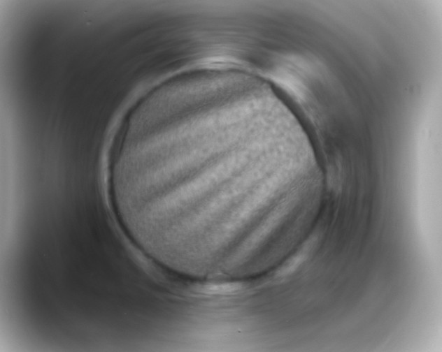 X0000088141430200706042000