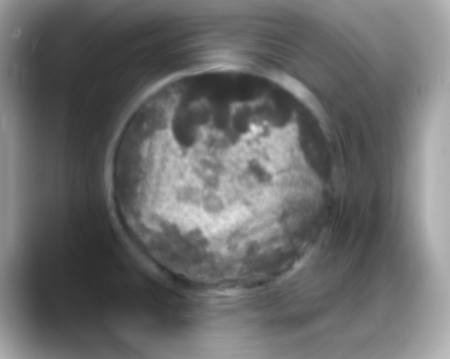 X0000088141431200706042000