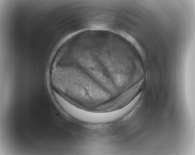 X0000088141432200706042000