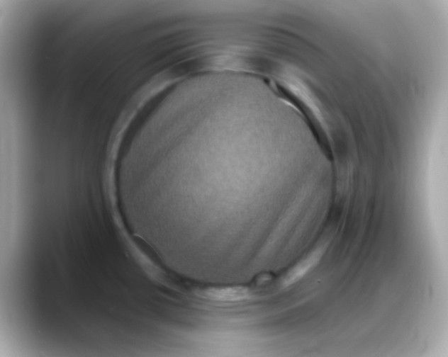 X0000088141434200706042000