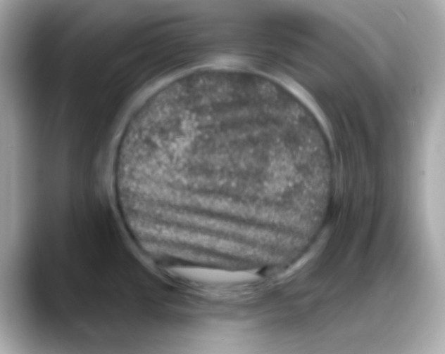 X0000088141437200706042000