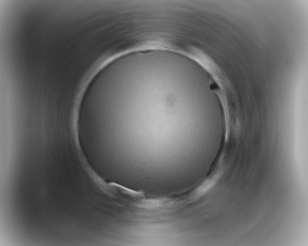 X0000088141438200706042000