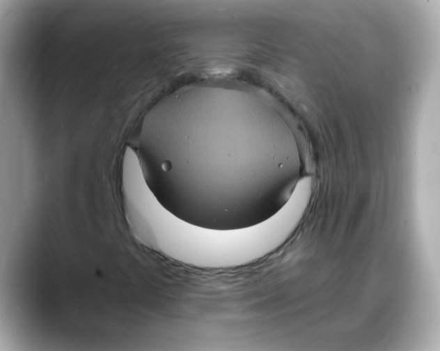 X0000088141441200706041959