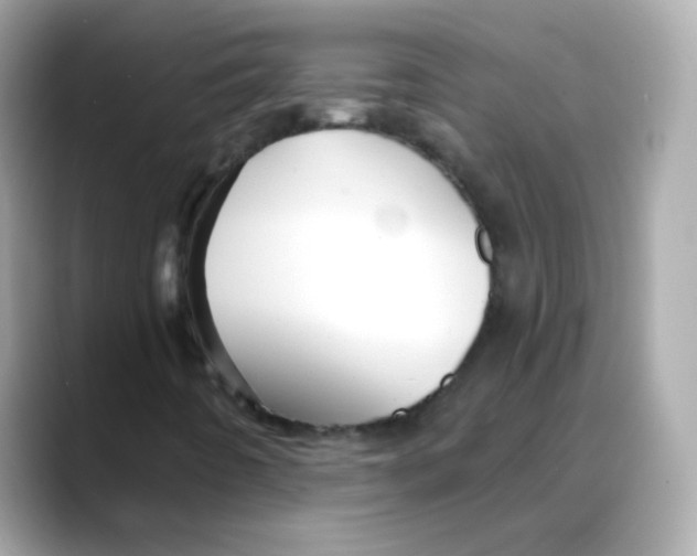 X0000088141442200706041959