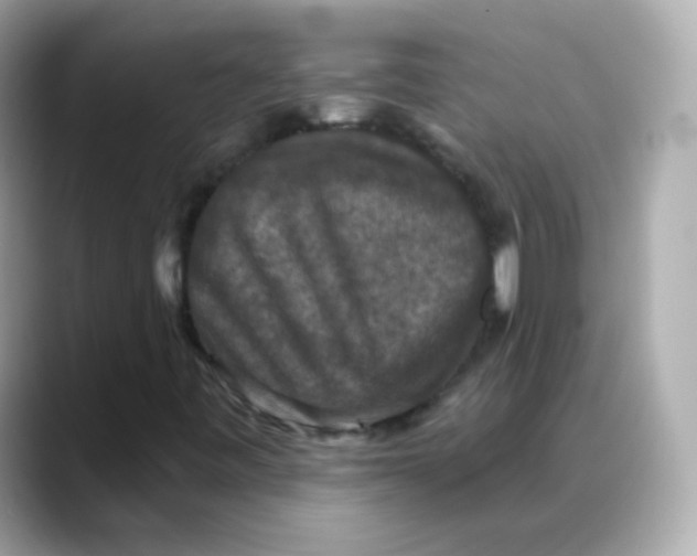 X0000088141443200706041959