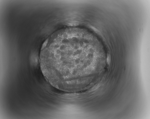 X0000088141444200706041959