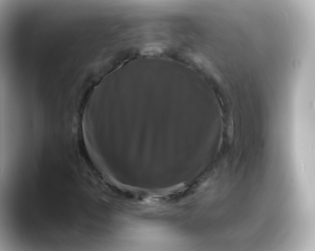 X0000088141445200706041959