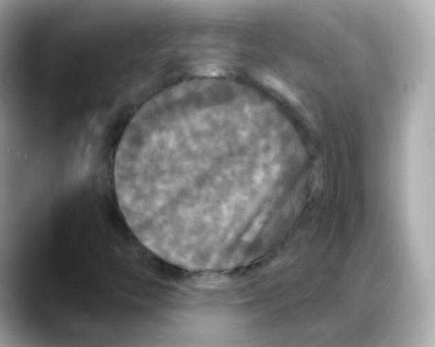 X0000088141446200706041959