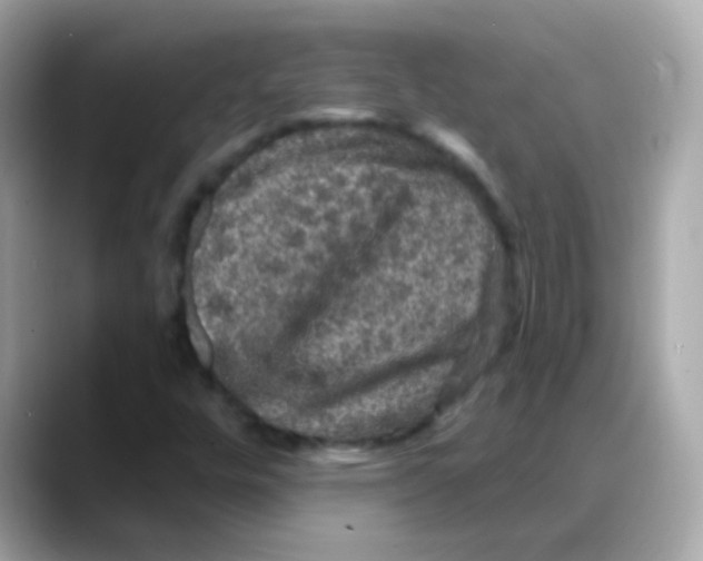 X0000088141448200706041959