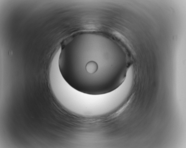 X0000088141449200706041959