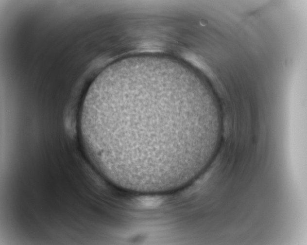 X0000088141451200706041959