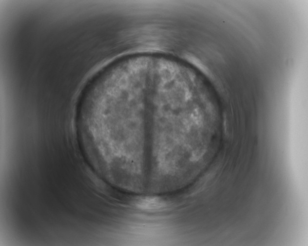 X0000088141452200706041959