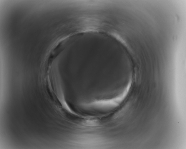 X0000088141453200706041959