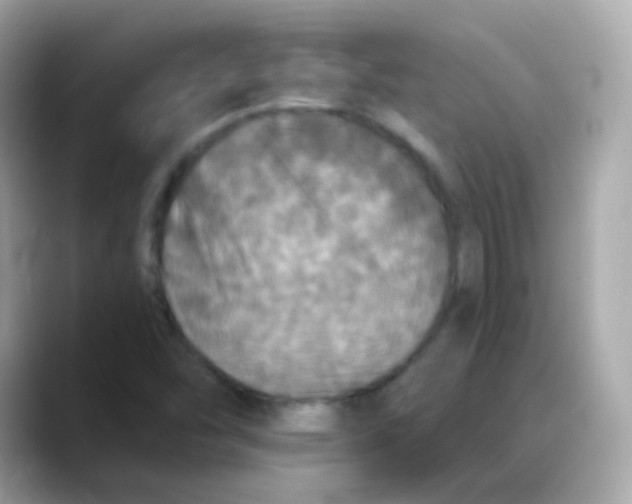 X0000088141454200706041959