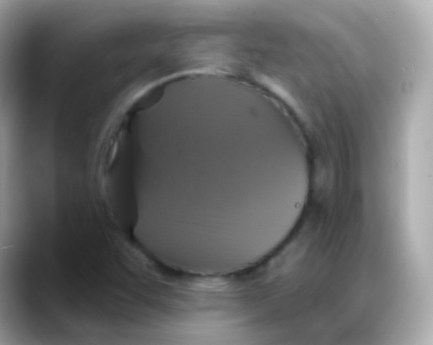 X0000088141455200706041959