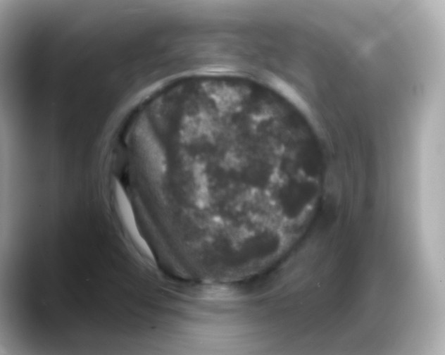 X0000088141456200706041959