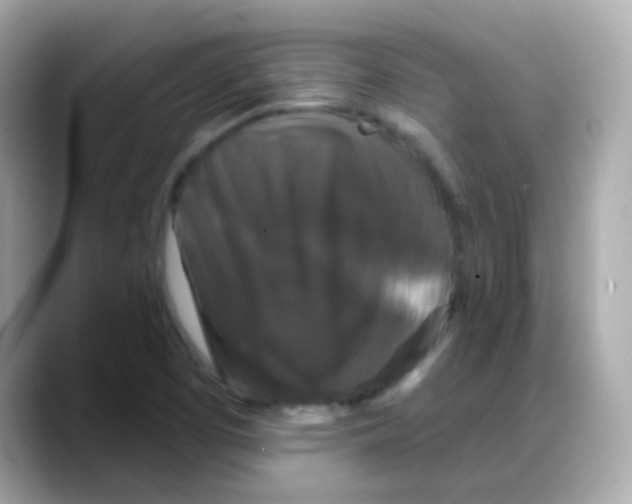 X0000088141457200706041959