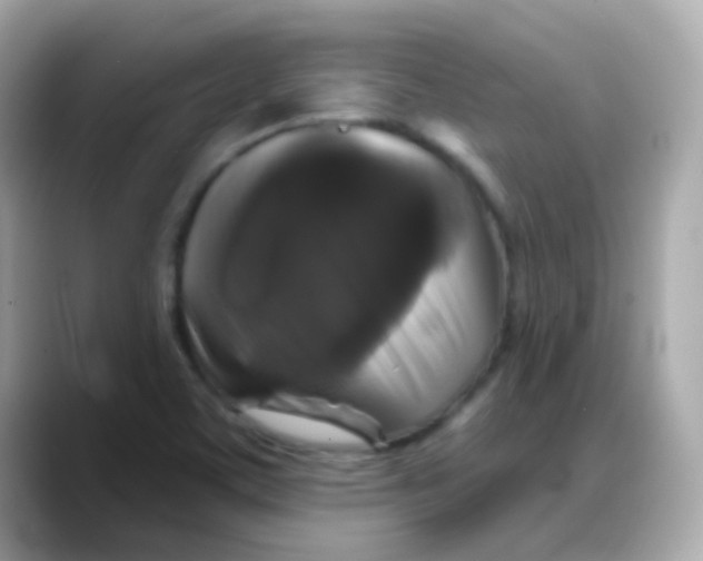 X0000088141459200706041959