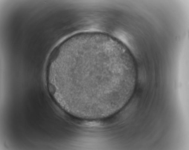 X0000088141460200706041959