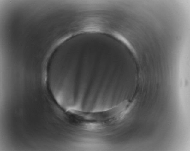 X0000088141461200706041959