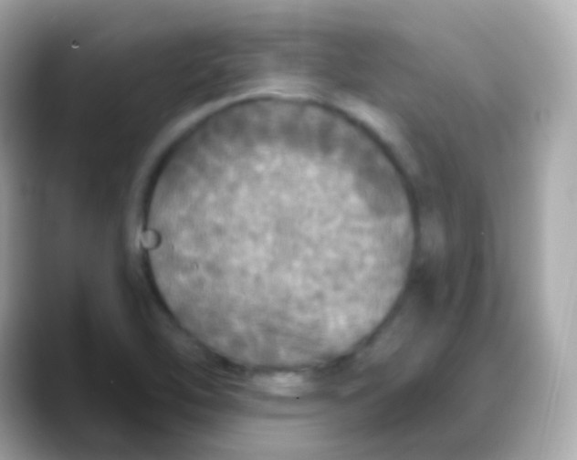 X0000088141462200706041959