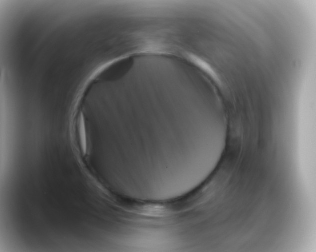 X0000088141463200706041959